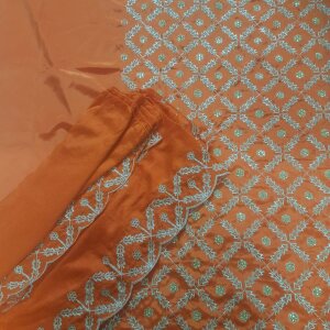beautiful silk suit /item no- 006